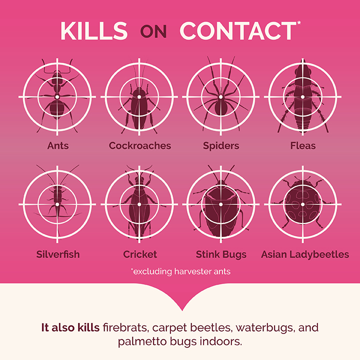HG-96780 Ant, Roach & Spider Killer Fragrance-Free 17.5 oz Kills on Contact